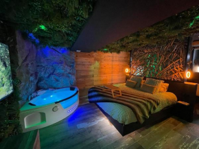 Appartement La Cabane jacuzzi